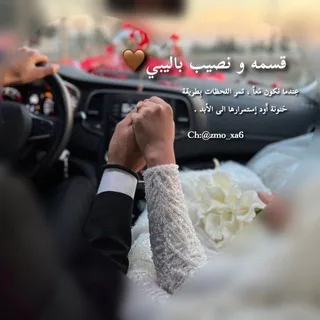@zmo_xa6