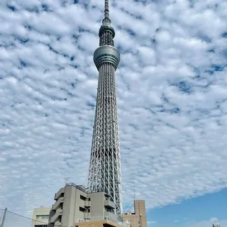 @riben_taotu
