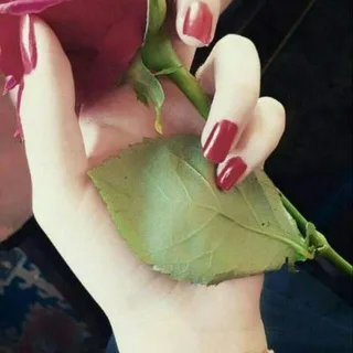 @ooohoooi