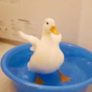 吃瓜搞笑