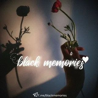 @blackmemories