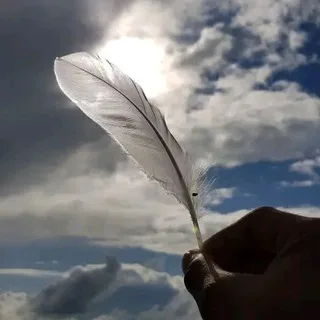 @mr_trump_poems