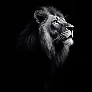 ⚜कल्याण का सट्टा ⚜
