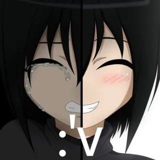 @shibarit_t