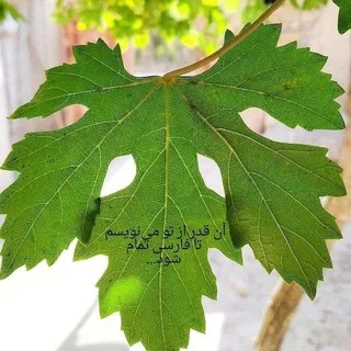 @aztominevisamtafarsitamamshavad
