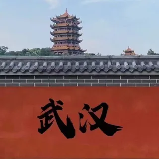 @wuhan866