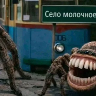 пивной паук