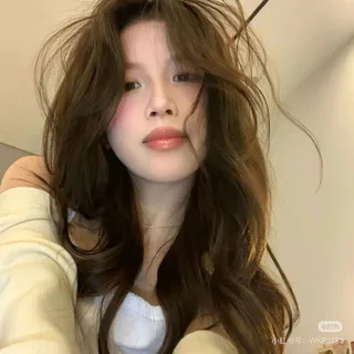 @ppuingshsv2