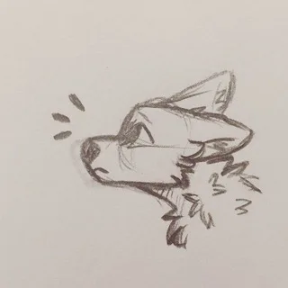 @furrygayyi