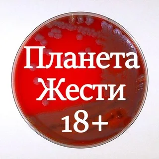 Планета жести 18+