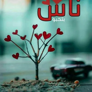 نِآآآآآآآآآسِـ يتٌـحًــــبًوٌوٌ 😘😘😘