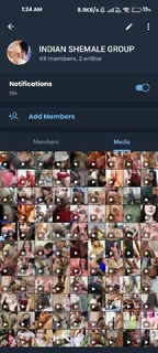 @shemalecontacts