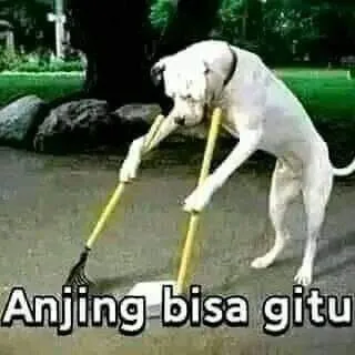 @memeklop1