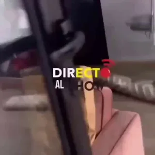 Mas pelea de mujeres