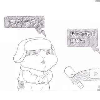 博士各式分区汇总+验证活动区