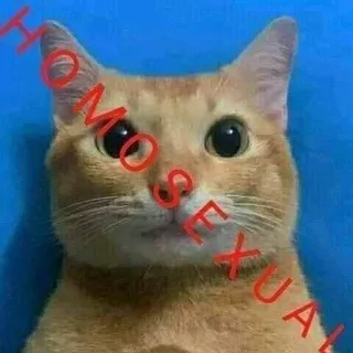 @sosocheklmao