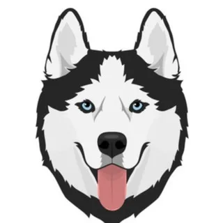 @huskypromocoes