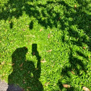 @kak173