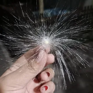dandelionskingdom