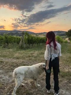@rose_riyu