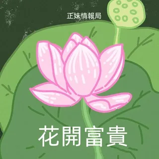@taibeimeimei