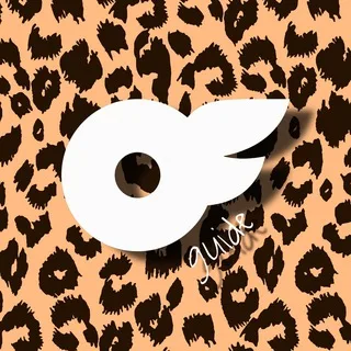 Guide 🐆 Onlyfans ENG
