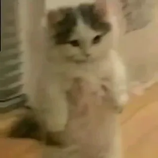 hentaimooz