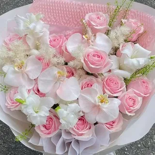 @hz_ht123