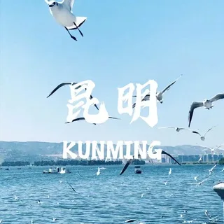 ๆๆๅ
ฌๅผ่ตๆบ