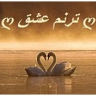 @taranomeh_eshgh