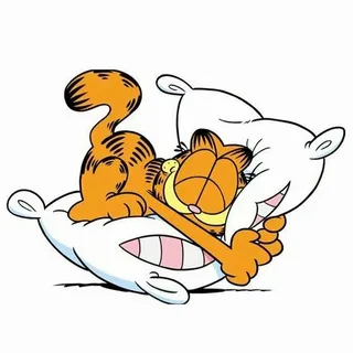 加菲猫觅食记·成都探花