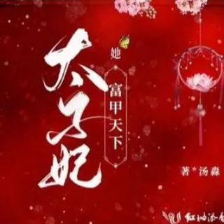 武汉太子妃资源榜