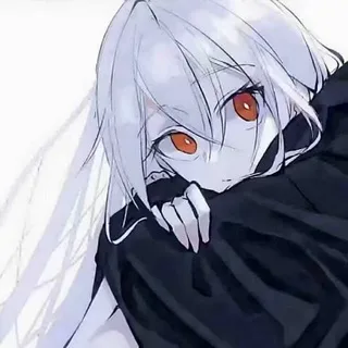 @zhantingguanfang1