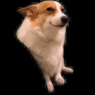 ΩFallenHentai