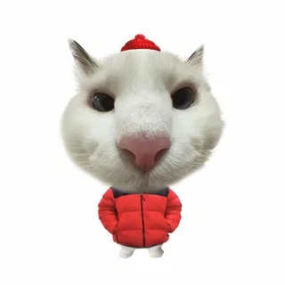 telepremmamat