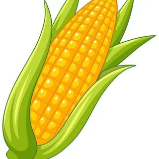 QUALITY CORN