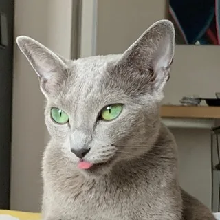 @serna5000