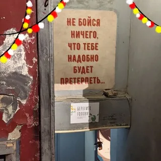 Ztoylo