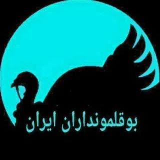 بوقلمونداران ایران