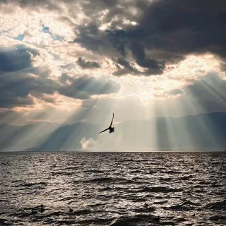长沙大鹏扶贫日记
