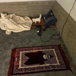 @bq_fu