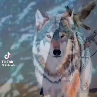 @qrrrfyh