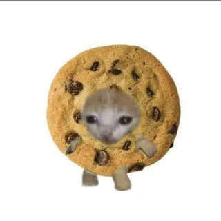 @nlarkobaa