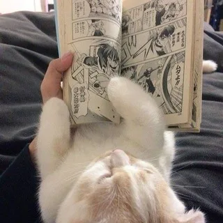 reading manga