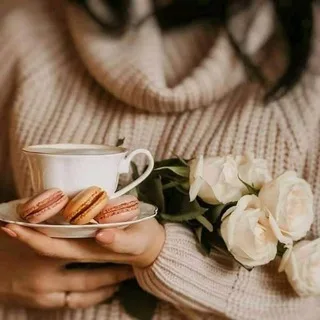 @sanfoyra1305