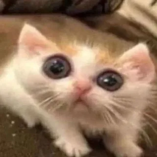 Огурчик