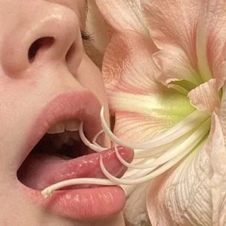 @fd_rm