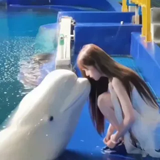 金边会所 ✨总频【阿玖】✨金边外送