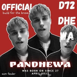 @p4ndhewa