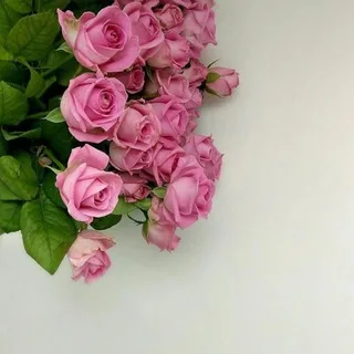@ui_ii_y